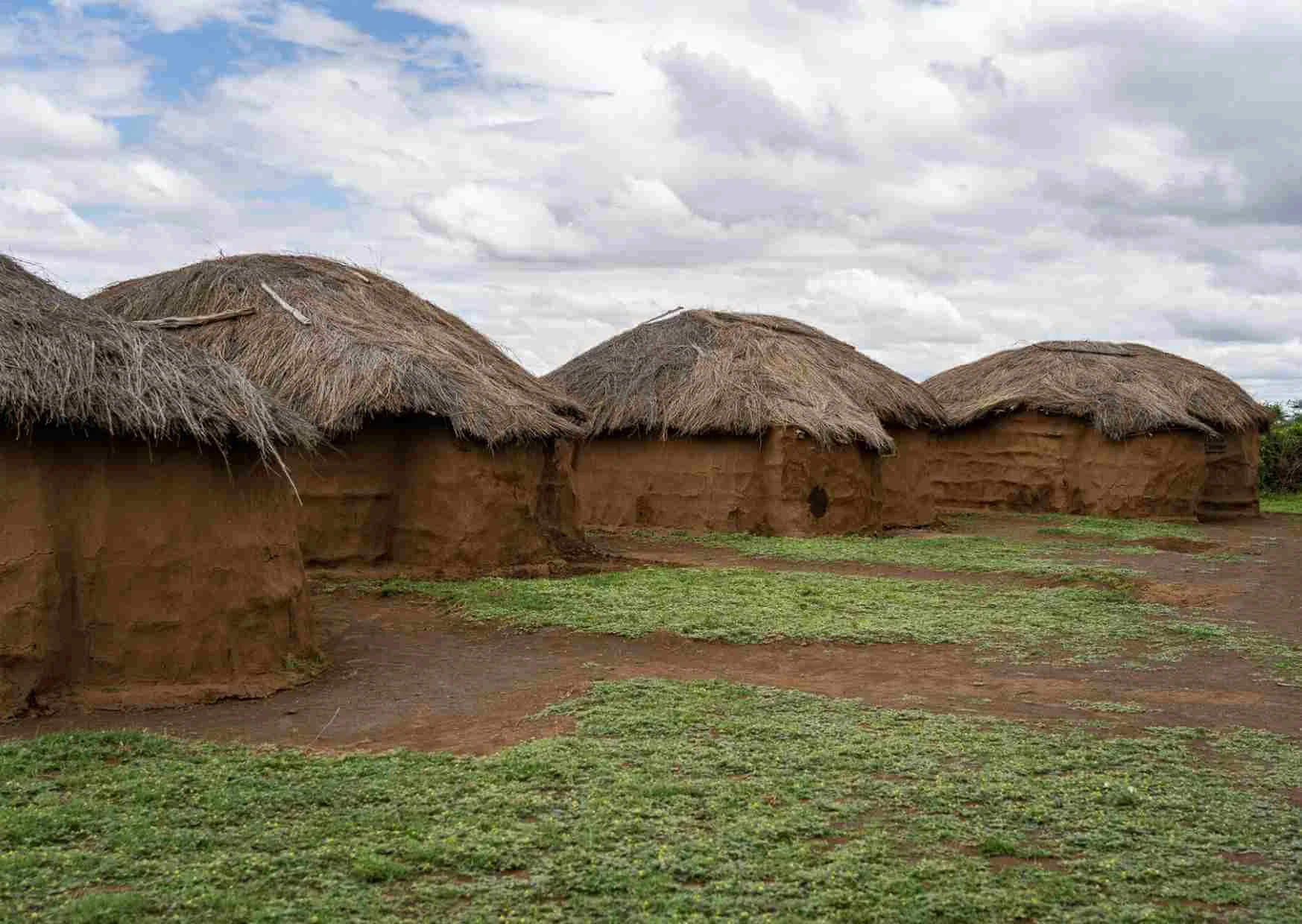 Olpopongi Maasai Cultural & Wildlife Experience : excursion d'une journée et nuit sur place